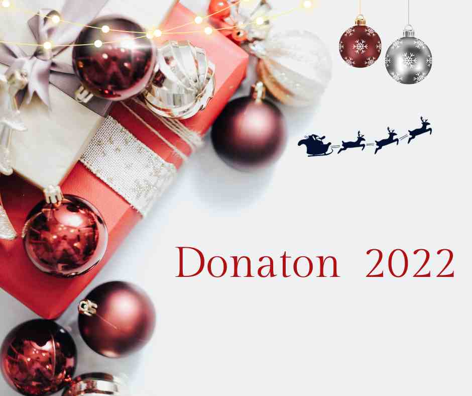 Gran Donatón Navideño 2022