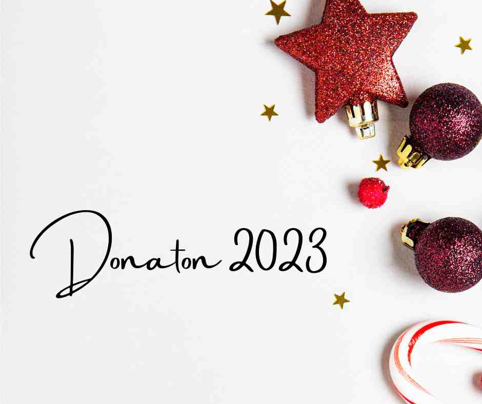 Gran Donatón Navideño 2023